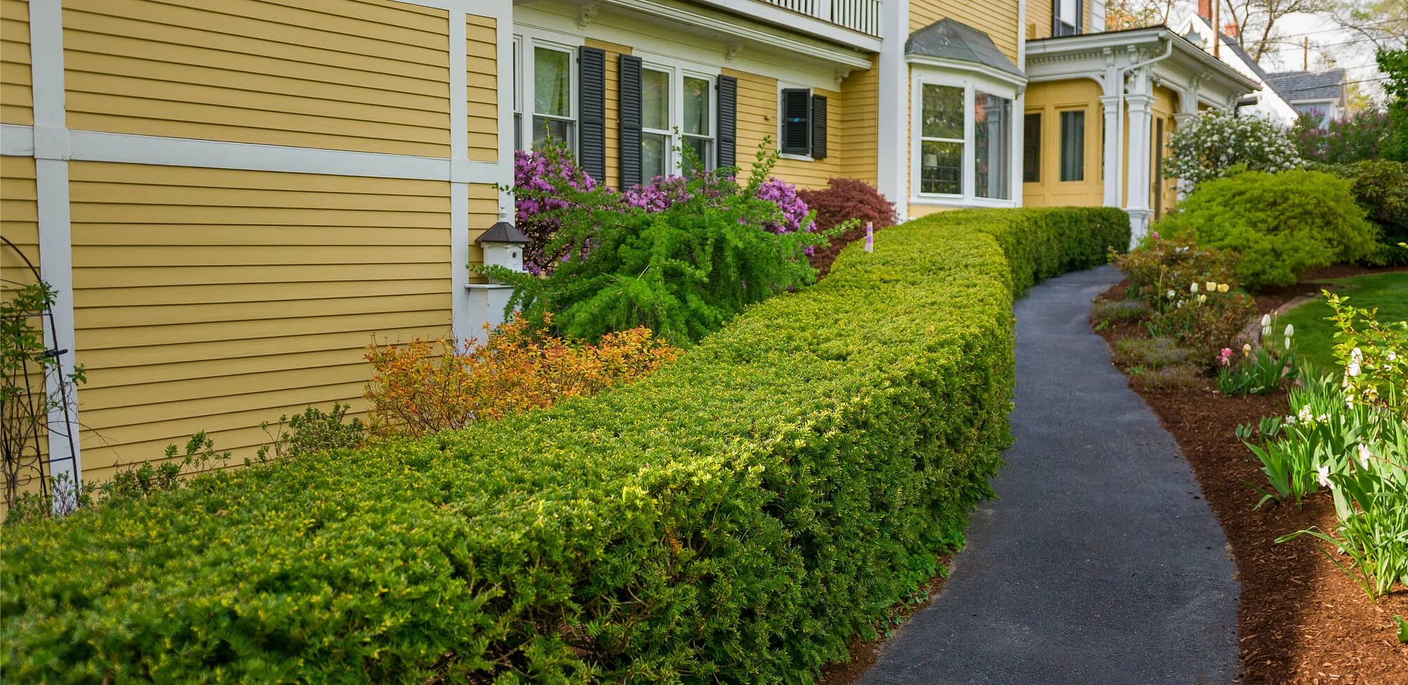 Landscaped garden path